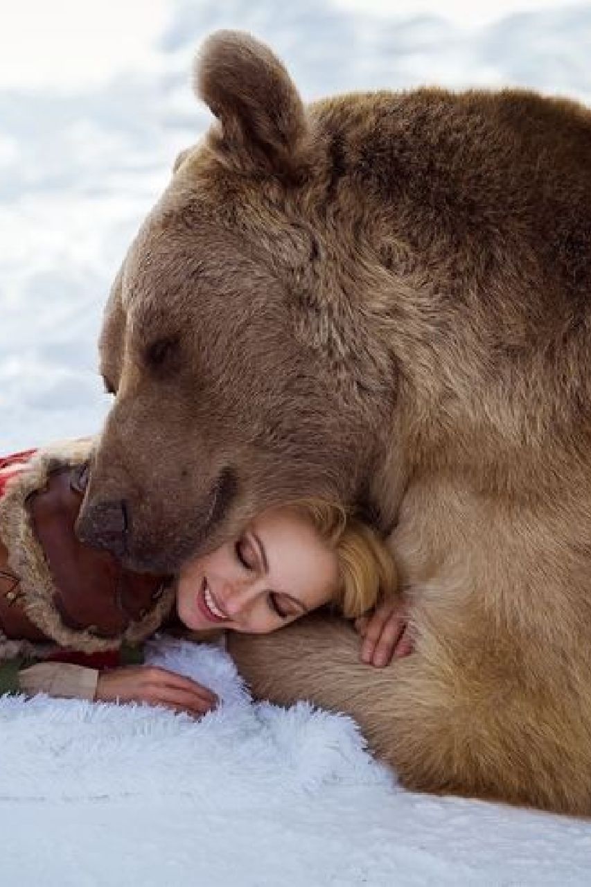 Развлечения медведей. Медведи обнимаются. Медведь и женщина. В обнимку с медведем.